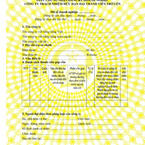 Thành Lập Công Ty TNHH 2TV